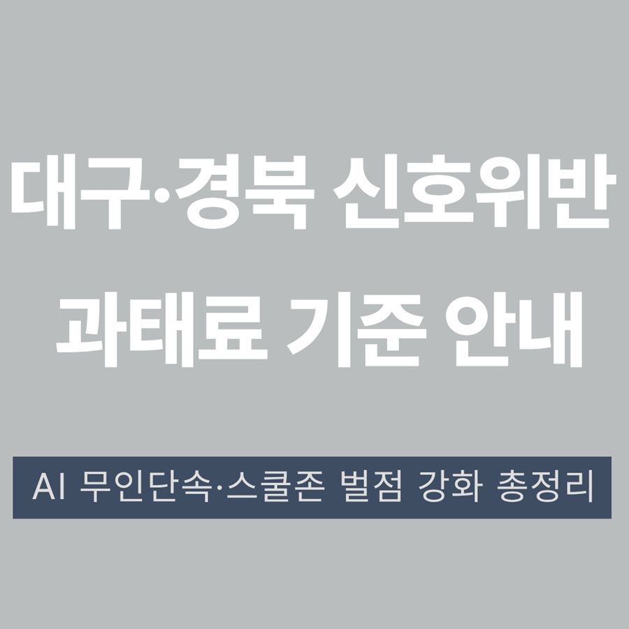 대구&middot;경북 신호위반 과태료 기준｜AI 단속&middot;스쿨존 벌점