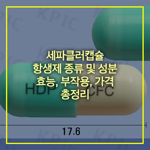 세파클러캡슐 항생제 종류 성분 효능 부작용 가격