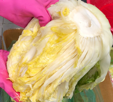 절임배추 사전예약