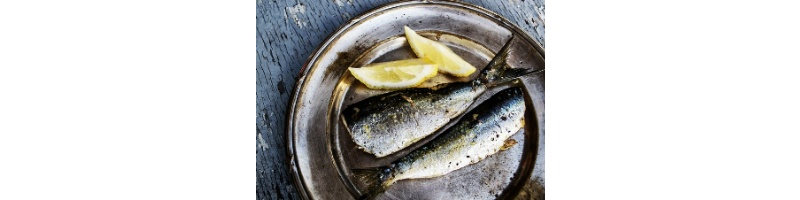 정어리가-접시에-나란히-놓여-있는-사진