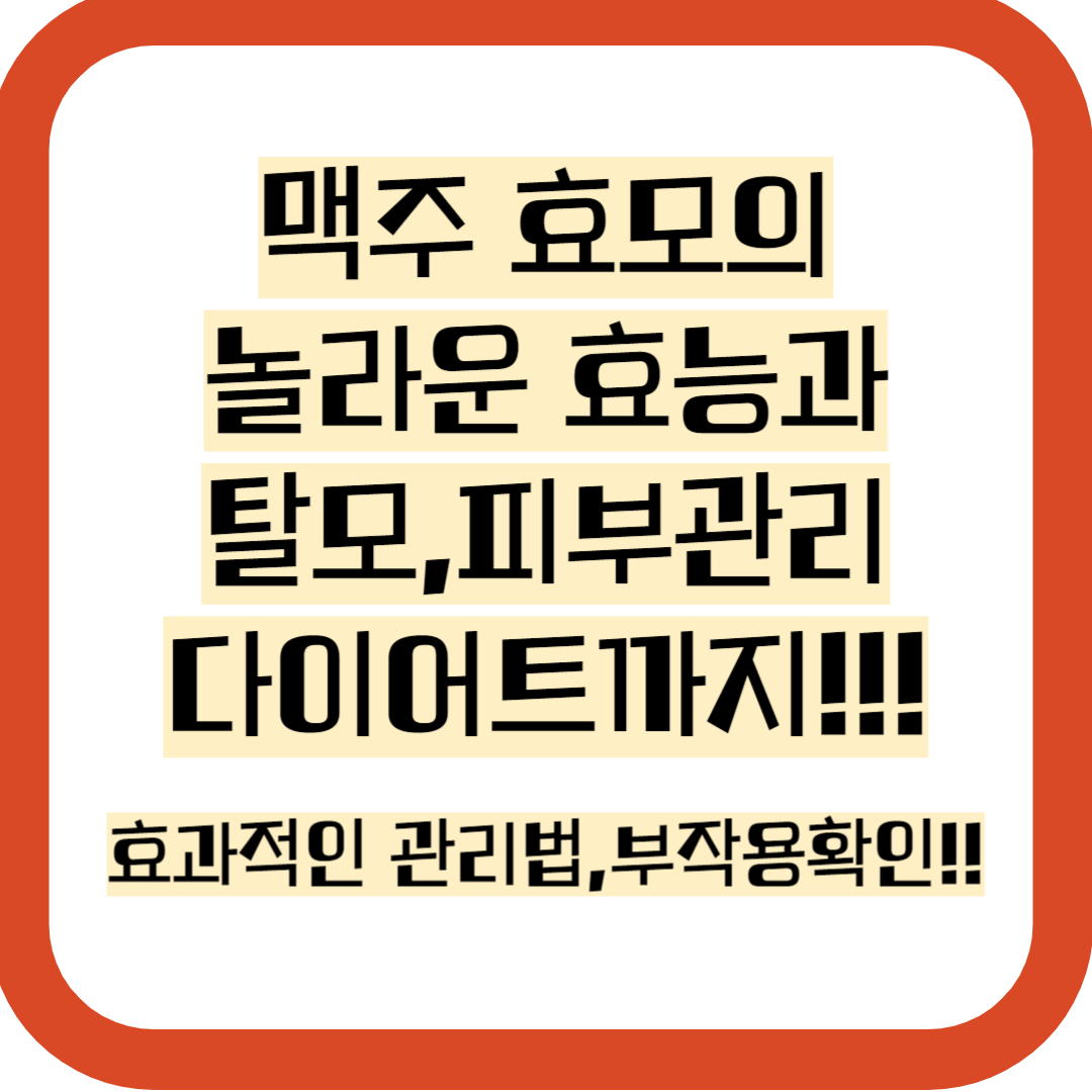 맥주효모 효능,탈모,부작용,다이어트,탈모,관리법