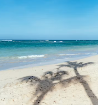 공무원 경조사 휴가일수 특별휴가 공무원 경조사 휴가규정