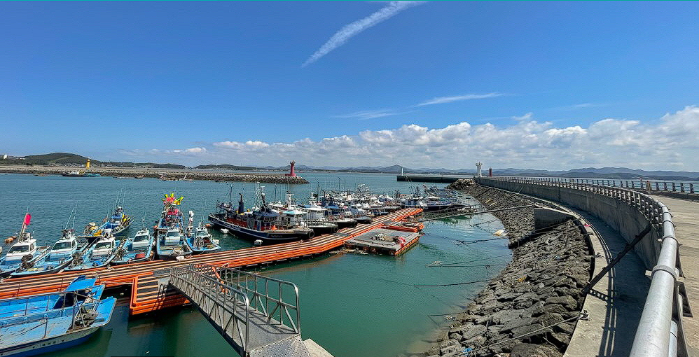 서천 동백꽃 쭈꾸미 축제
