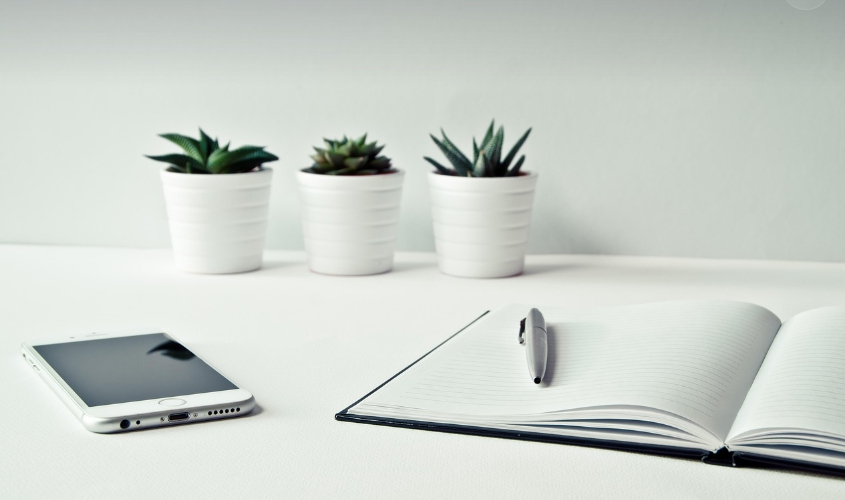 2025 청년기본소득제도 관련 사진