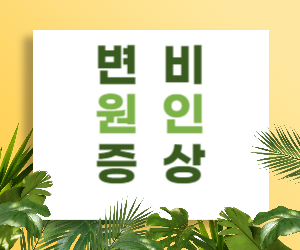 변비 원인 증상