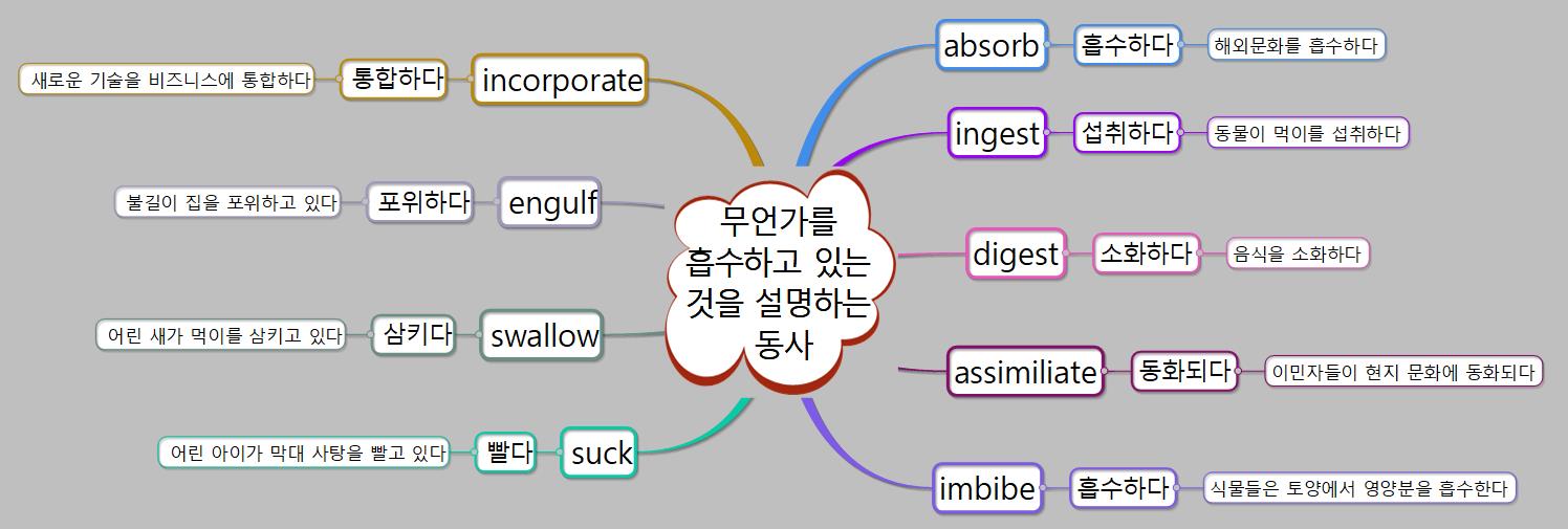 '흡수하다'는 의미를 갖는 영단어 마인드맵