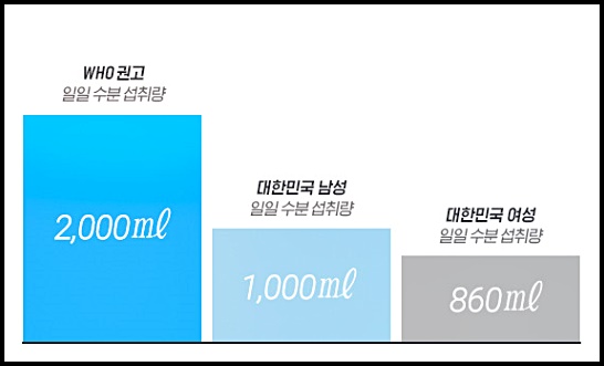 링티 효능, 가격, 성분, 맛, 부작용, 판매처 총정리