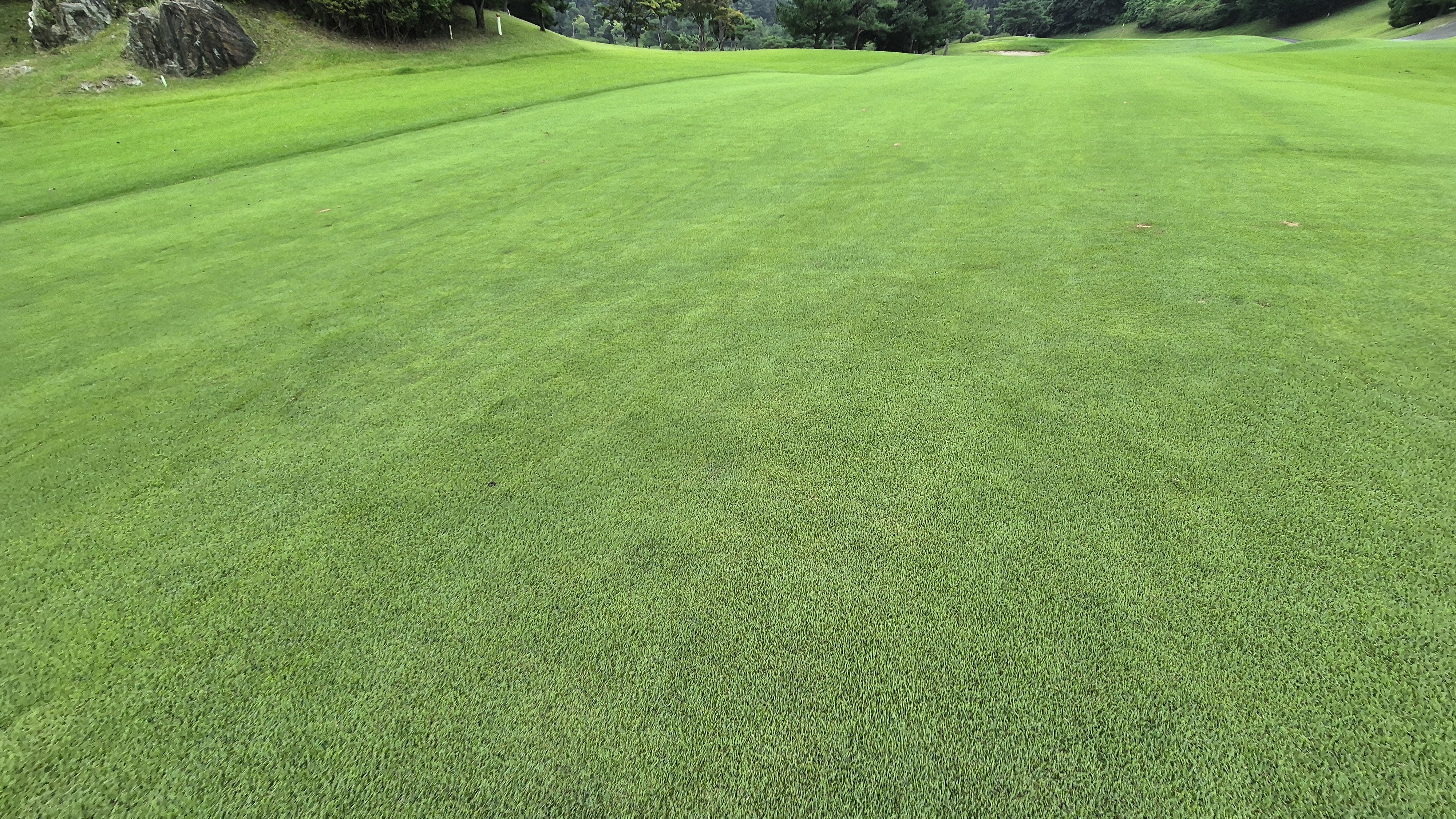 골프존카운티 진천