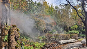 화성_우리꽃식물원_국화전시회