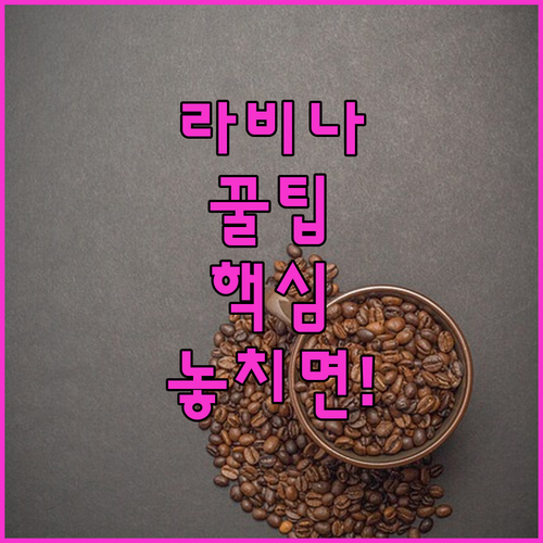 스플리트 카페 라비나 계절별 방문 가..