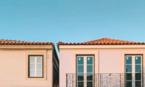 집에 바퀴벌레 있는지 없는지 확인하는 방법 (바퀴벌레 종류)