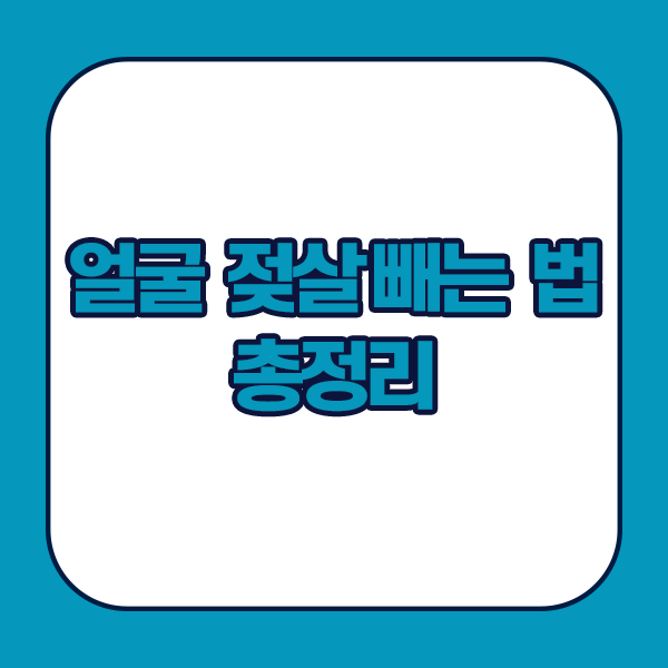 얼굴 젖살 빼는법 총정리
