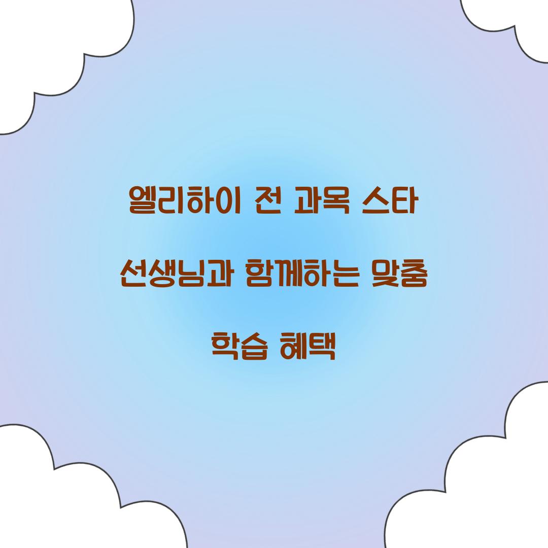 엘리하이 전 과목 스타 선생님