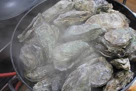 6시내고향 사천 굴구이맛집 펜션 예약 완벽 가이드