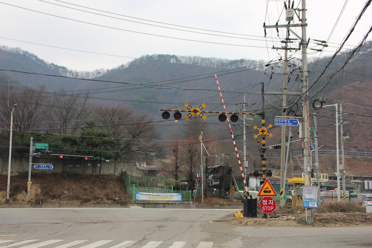 교통사고처리특례법 12대 중과실 철길 건널목 위반: 열차와 데스매치!
