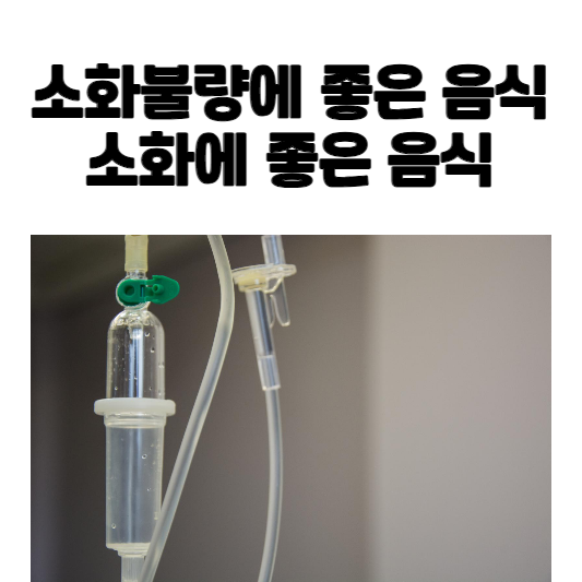 소화불량에 좋은 음식, 소화에 좋은 음식