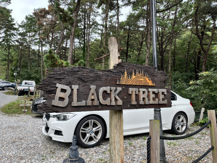 블랙트리 주차공간