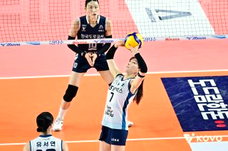 안혜진 배구선수 프로필 음주운전