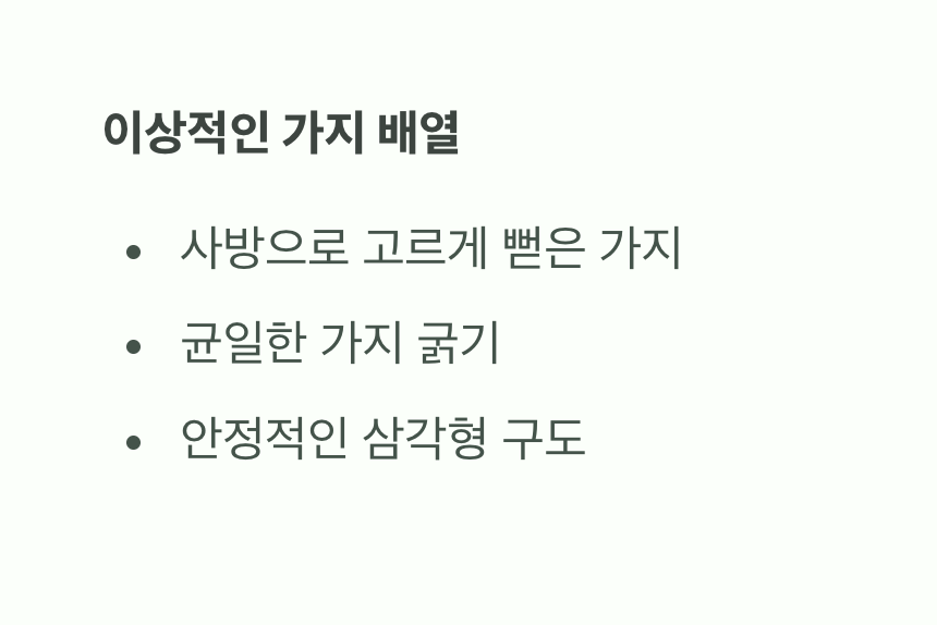 3. 가지의 균형, 미래 수형을 그리다