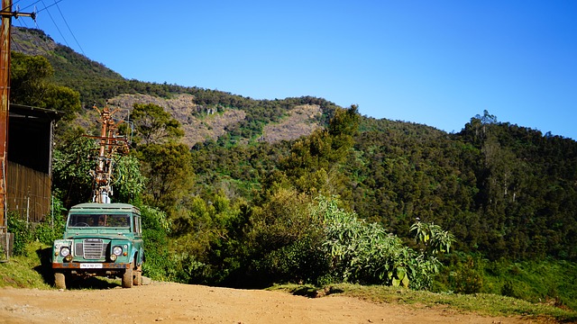 랜드로버와 재규어 – 영국 럭셔리 자동차 브랜드의 차이점과 전략 비교