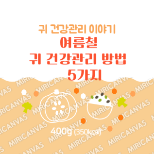 여름철 귀 건강관리 방법 5가지