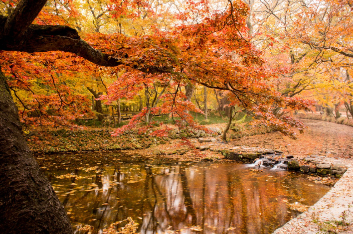 고창 여행, 고창읍성과 선운사 관련 사진