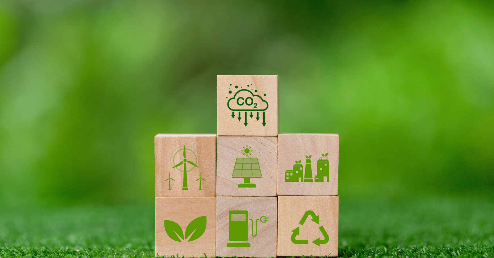 후불 기후동행카드