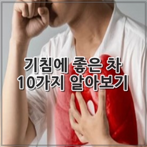 기침에 좋은 차 10가지 알아보기