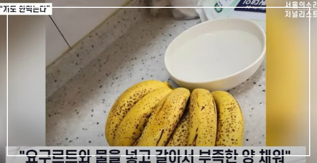 온요양원 최은순 김진우 김건희