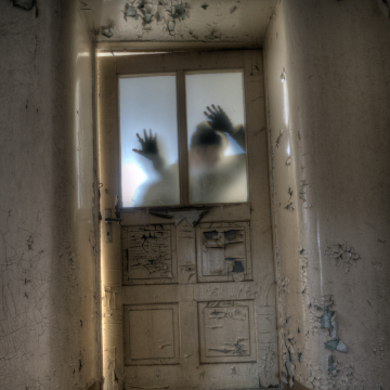 반사회적 인격장애 환자의 특징