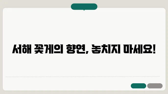 서해 꽃게철