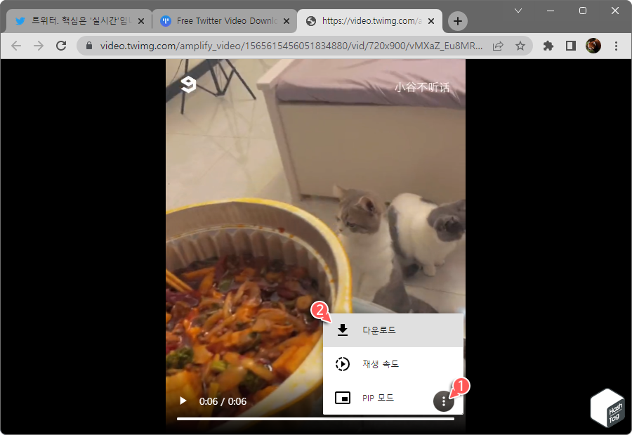 동영상 다운로드