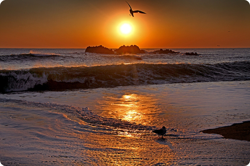 경주 문무대왕릉(감포) 새해 일출 명소/출처: 경주 문화관광