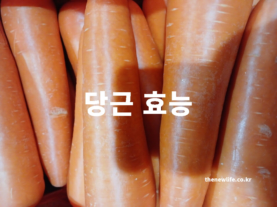 당근 효능 대표 실사진