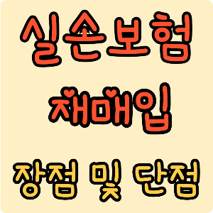 실손보험 재매입