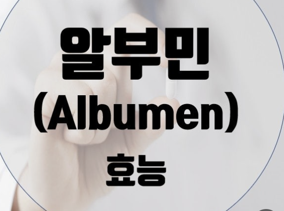 알부민의 효능
