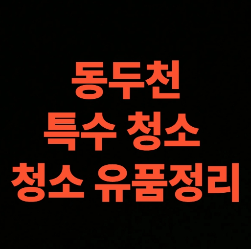 동두천 유품정리 업체 청년 고독사청소 비용 후기