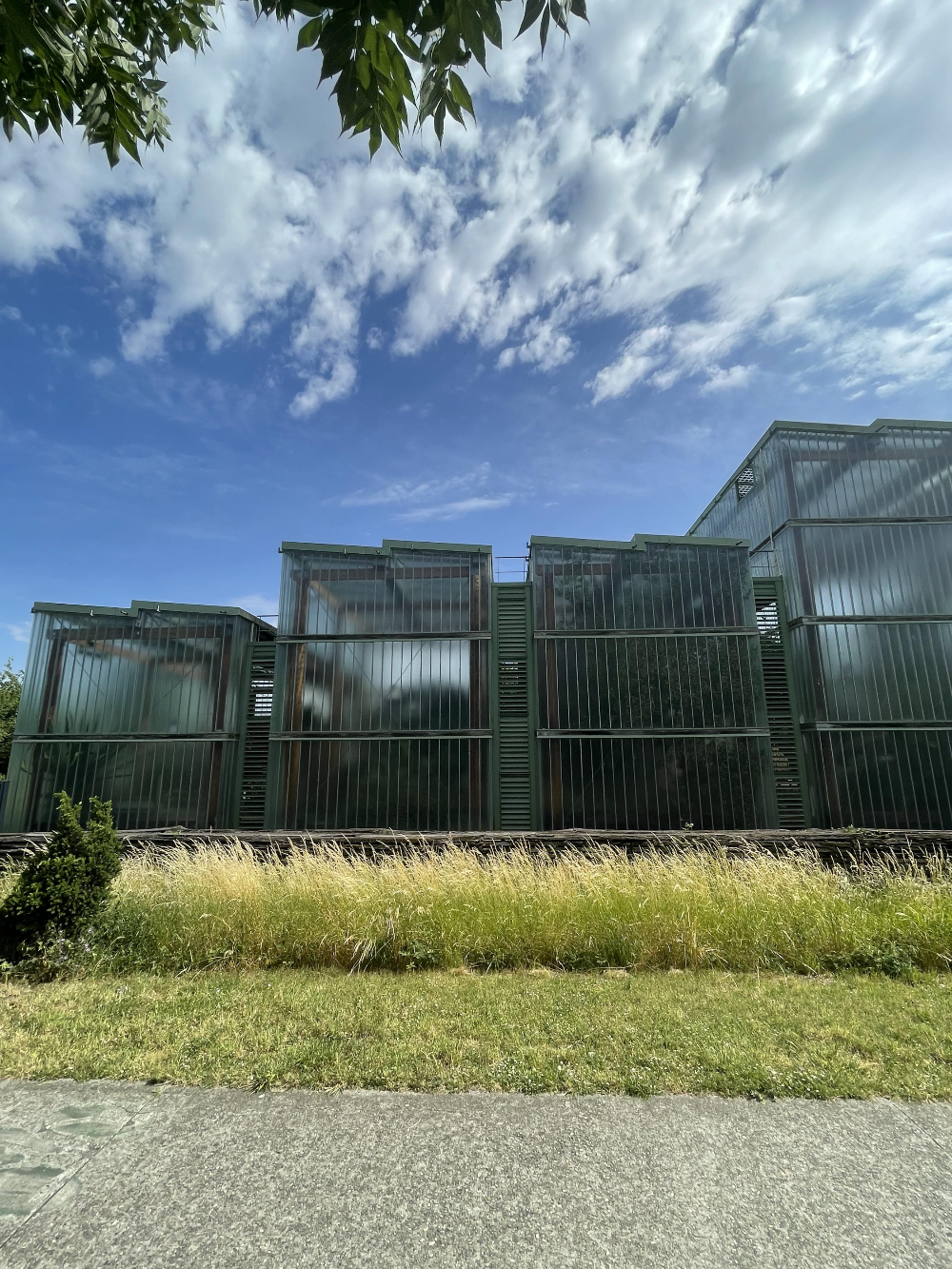 보르도 식물원 - 10번 근처 온실2