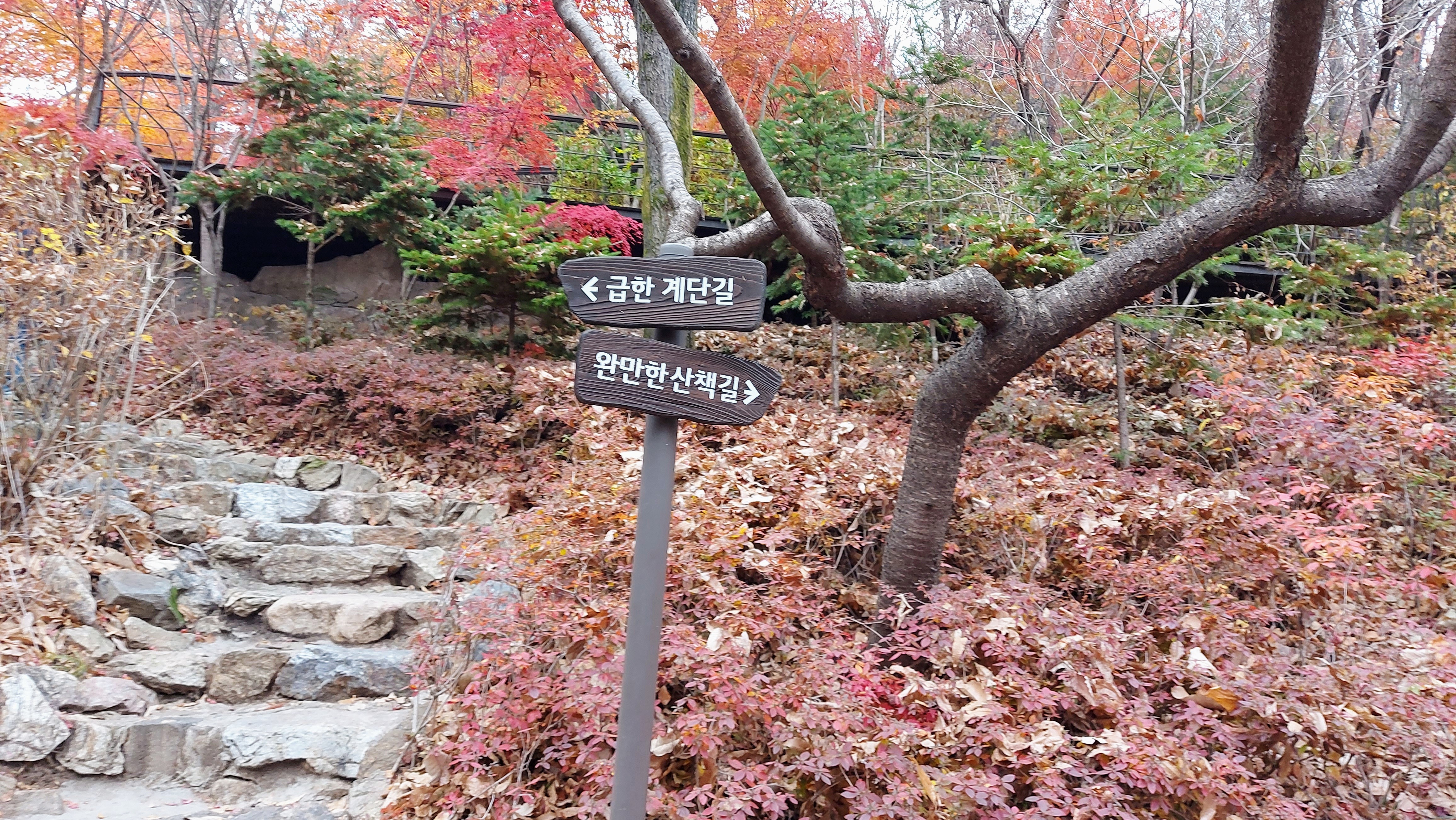 곤지암 화담숲 단풍