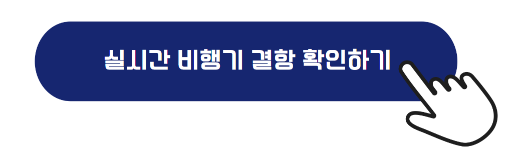 실시간 비행기 결항 확인하기