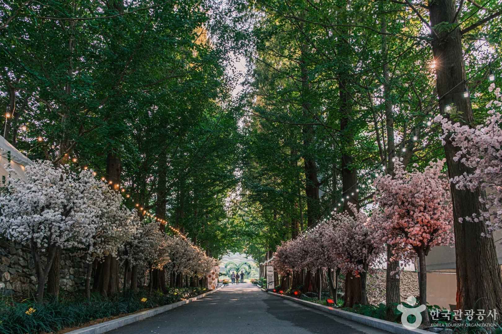 피나클랜드수목원