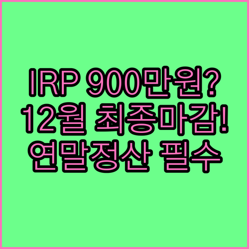 IRP 납입 최종 마감 12월 연말정..