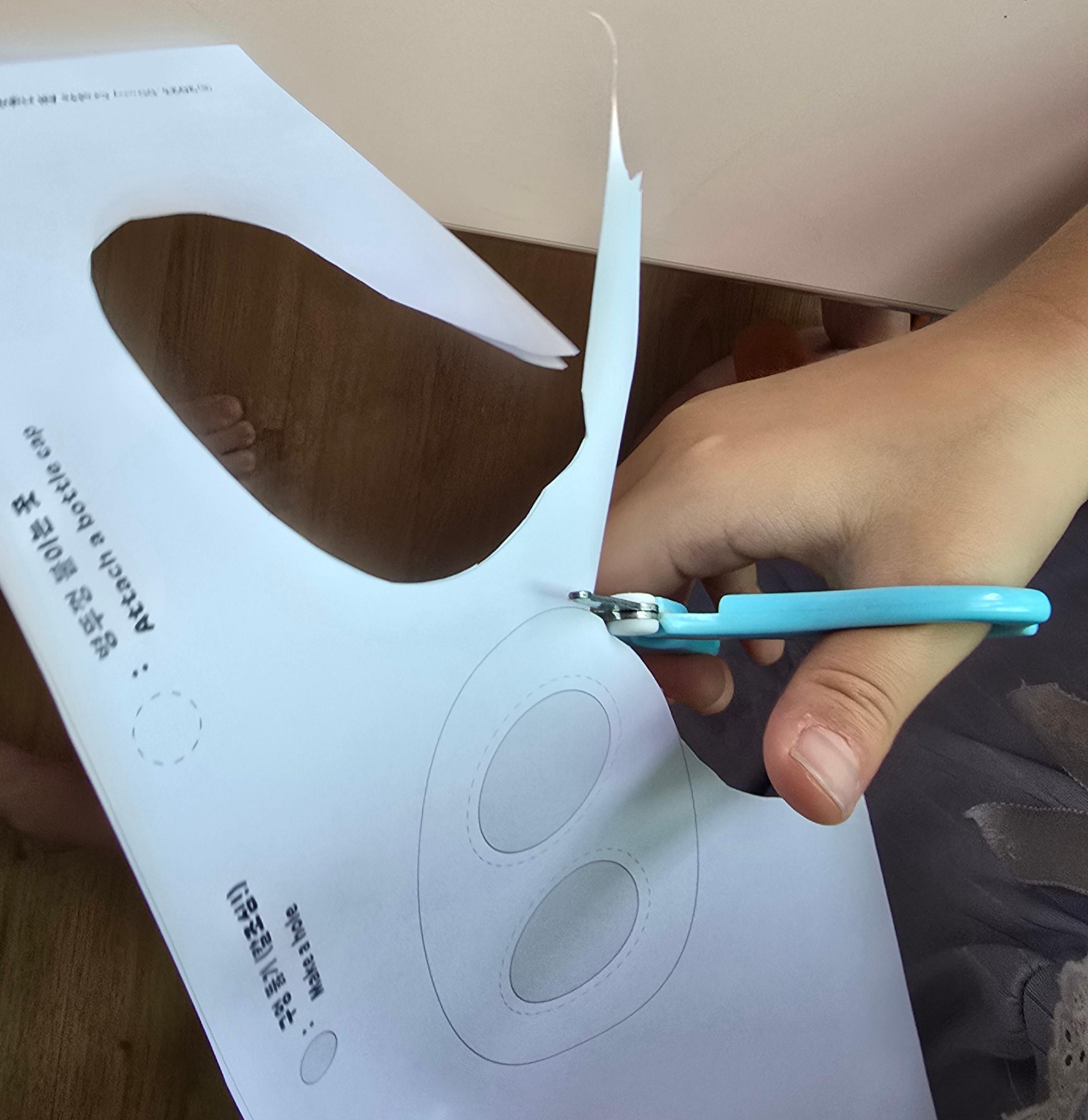 도안 오리는 모습