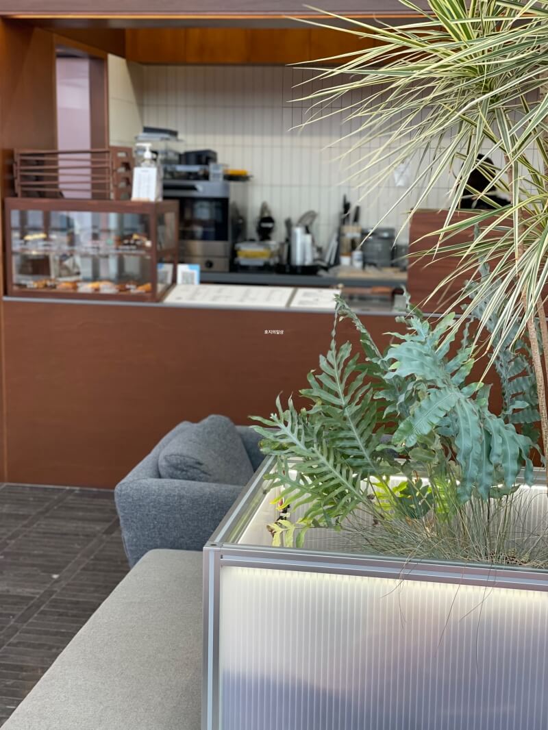 시흥 은계 지구 신상 카페 미스티우드 - 매장 식물