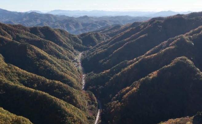 2023년 단풍시기