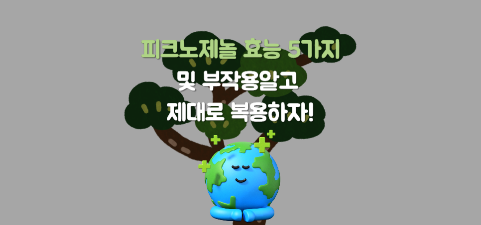 피크노제놀 효능 5가지 및 부작용알고 제대로 복용하자!