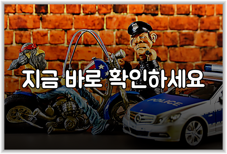 지금 바로 확인하세요