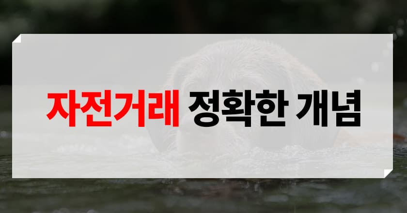 자전거래 개념 설명
