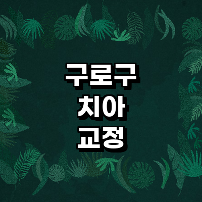 서울 구로구 교정 치과
