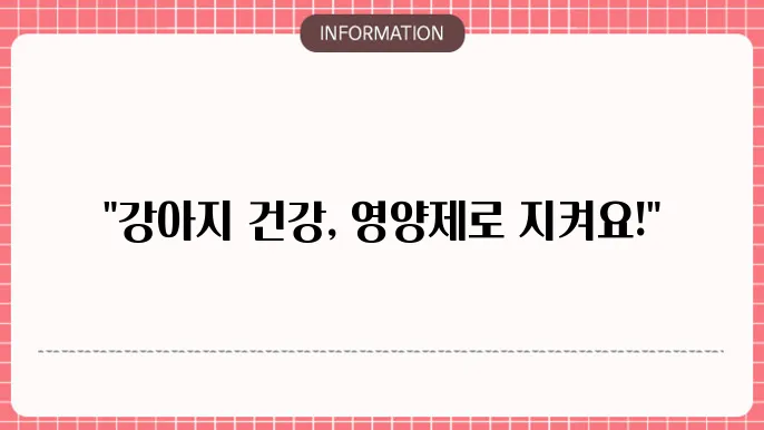 강아지 기관지협착증 영양제